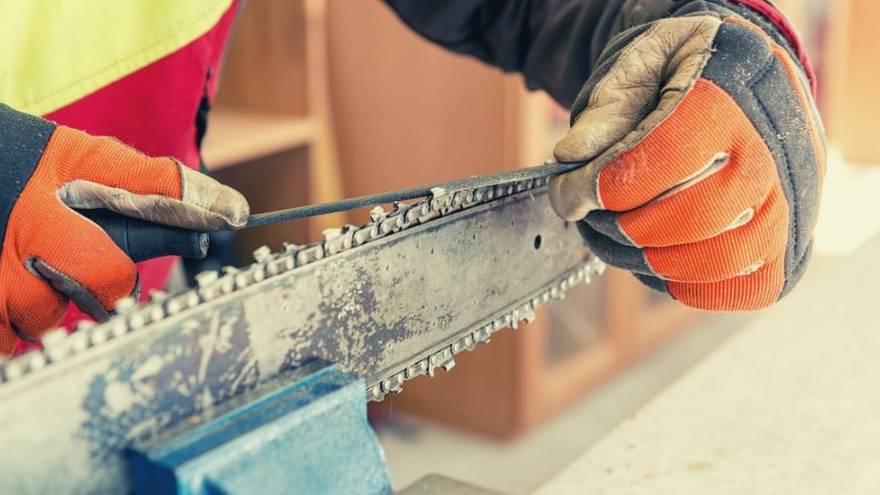 Best 5 Chainsaw Sharpeners in 2026 – ProductExperts