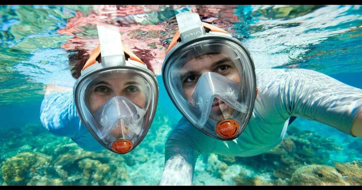 Best 5 Snorkel Masks in 2026 - Ava's Review