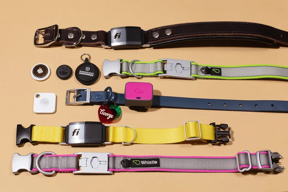 Best 5 Dog GPS Collars in 2026 US – ProductExperts