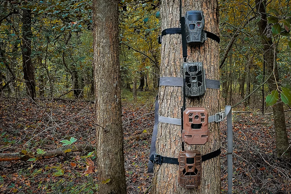 Best 5 Trail Cameras in 2026 – Ava's Review